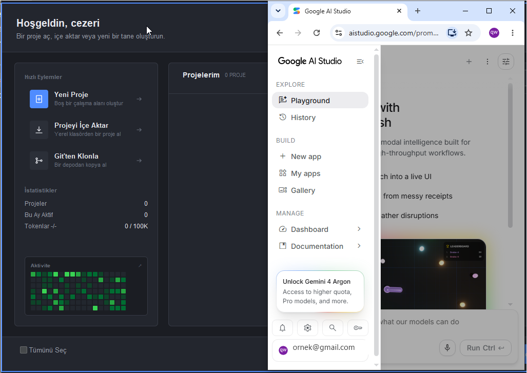 Google AI Studio menüsü, History